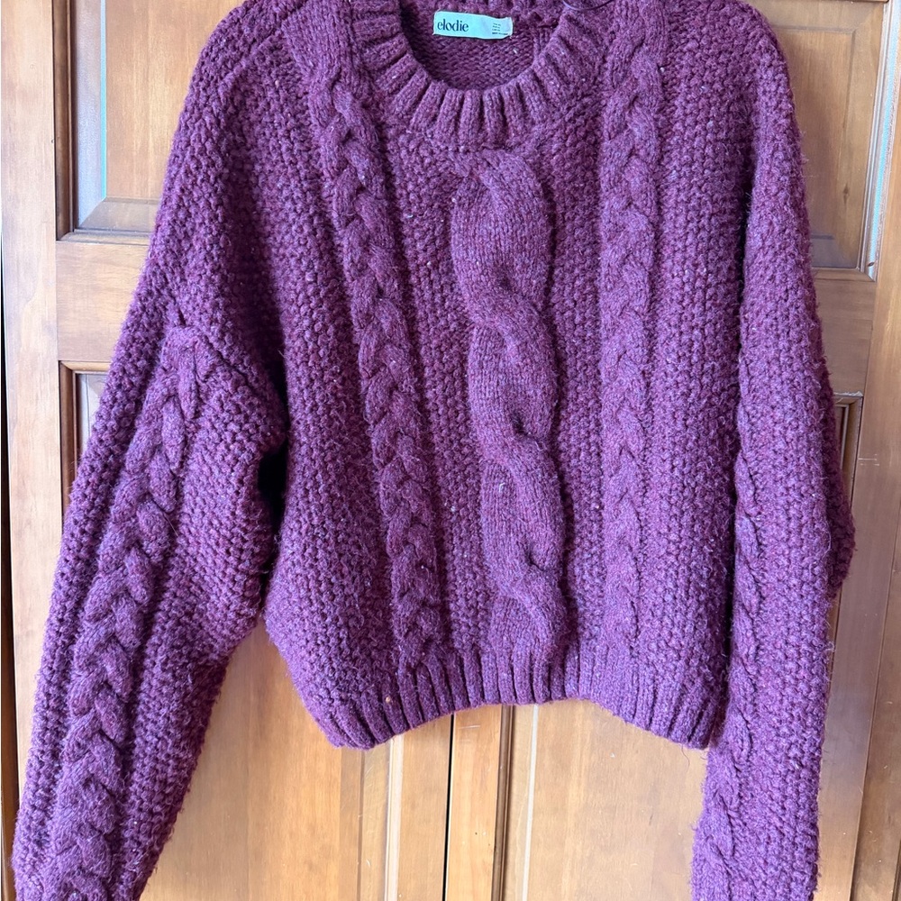 Elodie Women's Burgundy Chunky Crew Neck Sweater